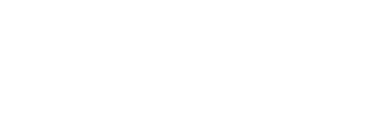 Google white logo